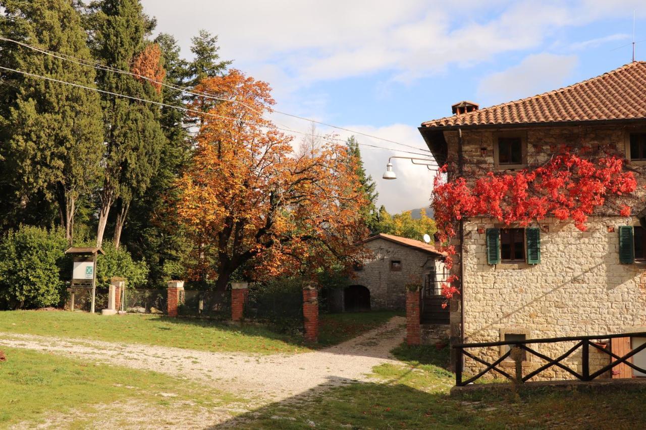 Agriturismo Villaggio Eden 皮耶韦圣斯特凡诺 外观 照片