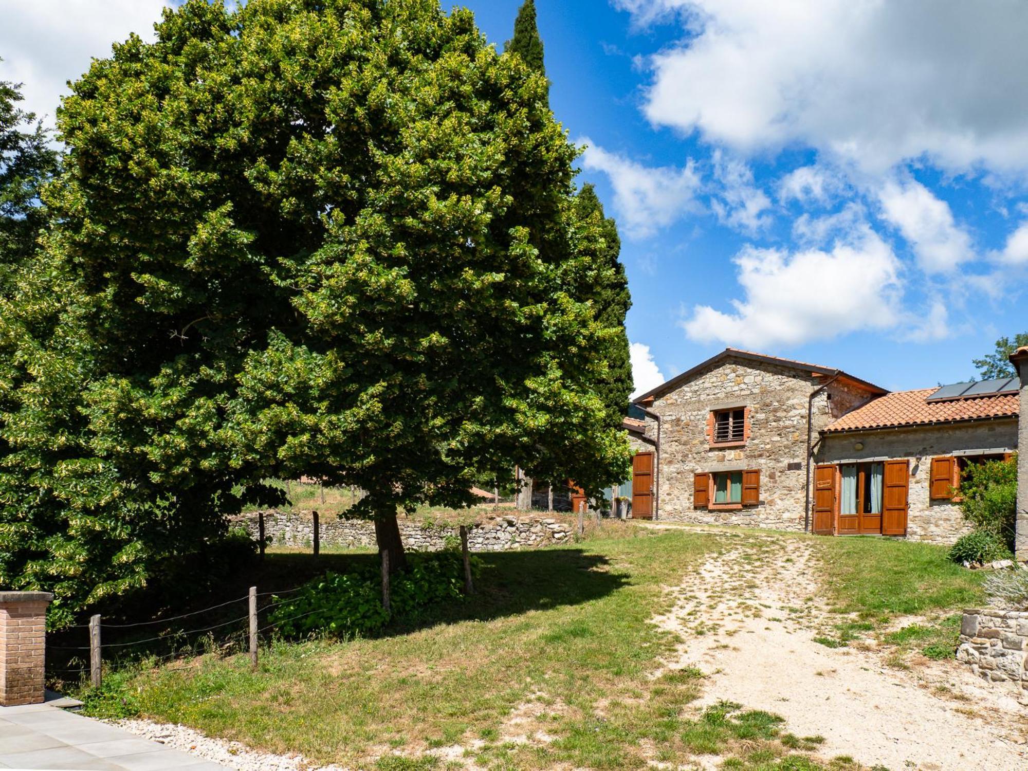 Agriturismo Villaggio Eden 皮耶韦圣斯特凡诺 外观 照片